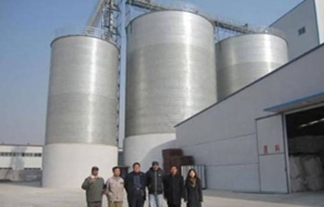 4×2500T High-Capacity Maize Grain Handling & Storage Facility — Rwanda